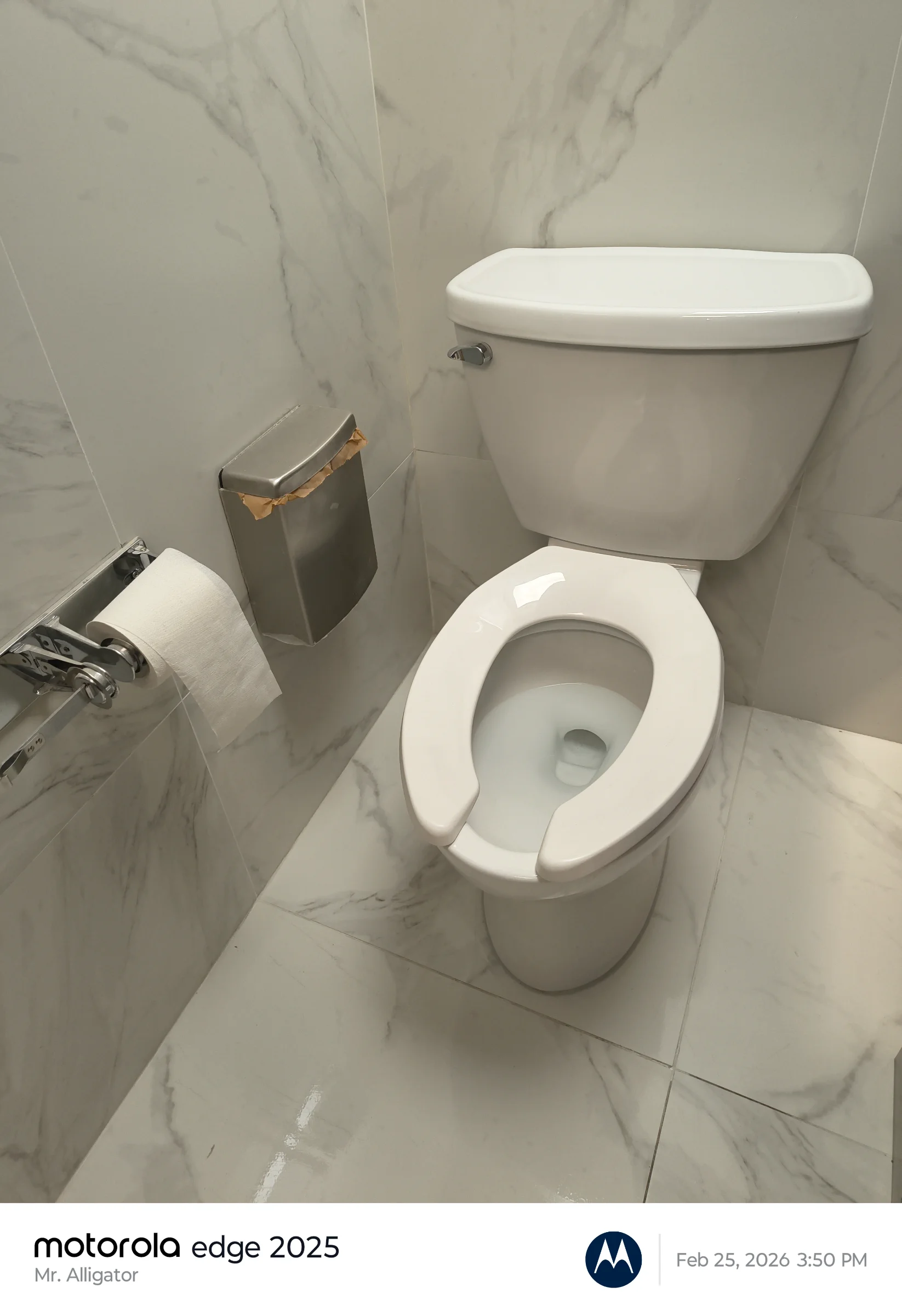 Commercial toilet with surrounding tile finishes